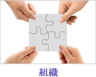組織