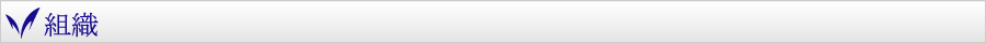 組織